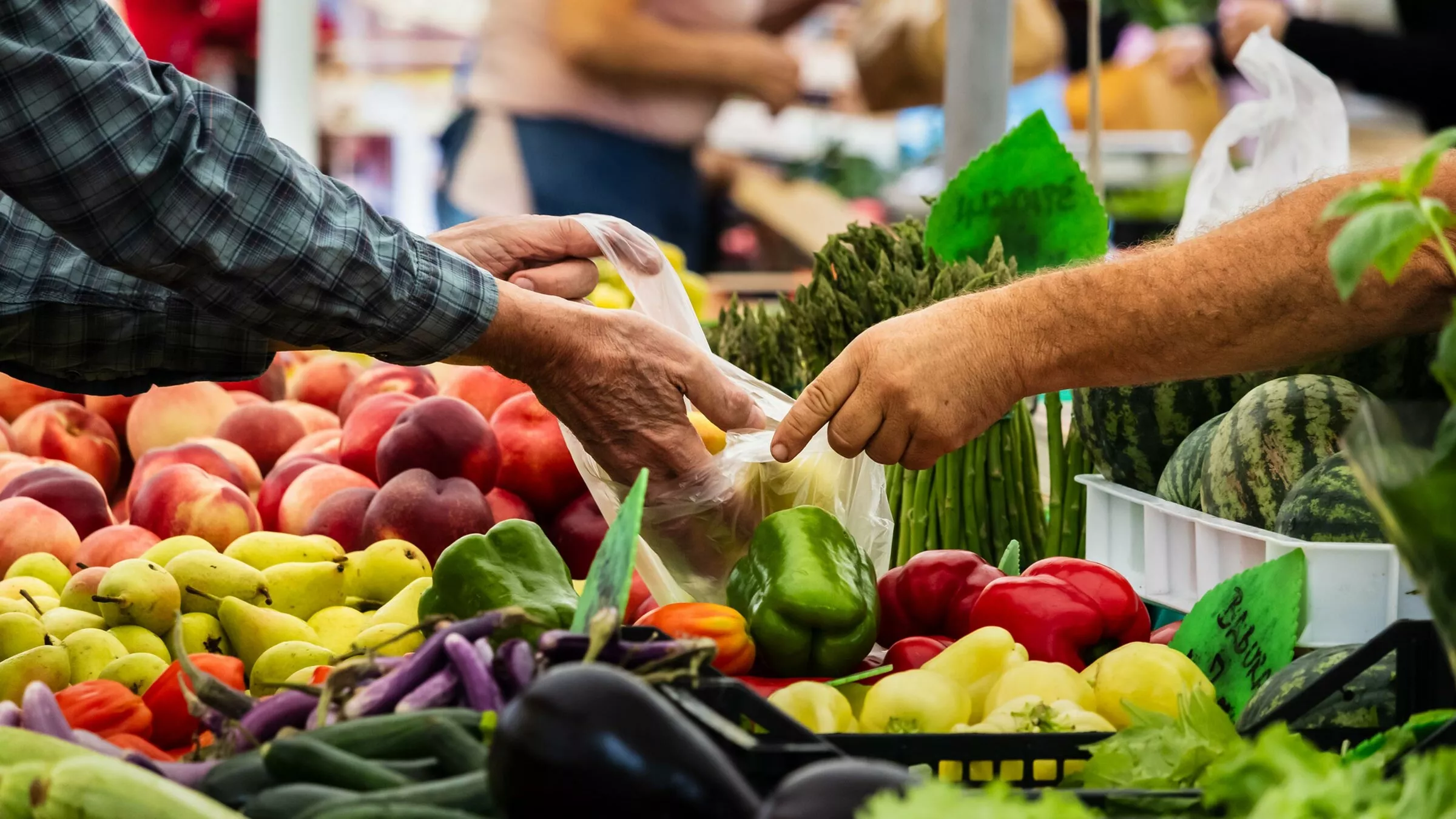 Freshwater Farmer's Market