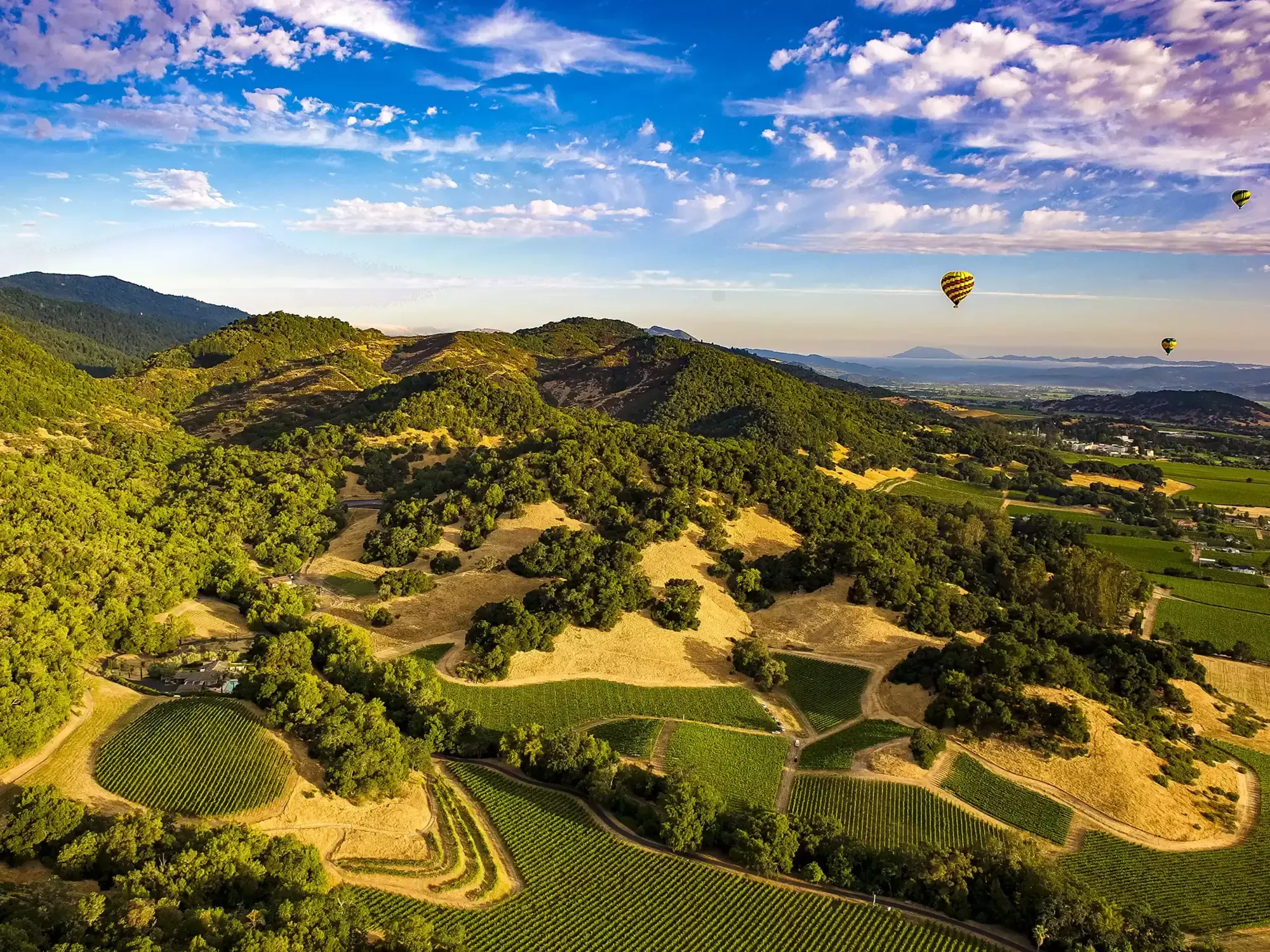 Wine Regions of California