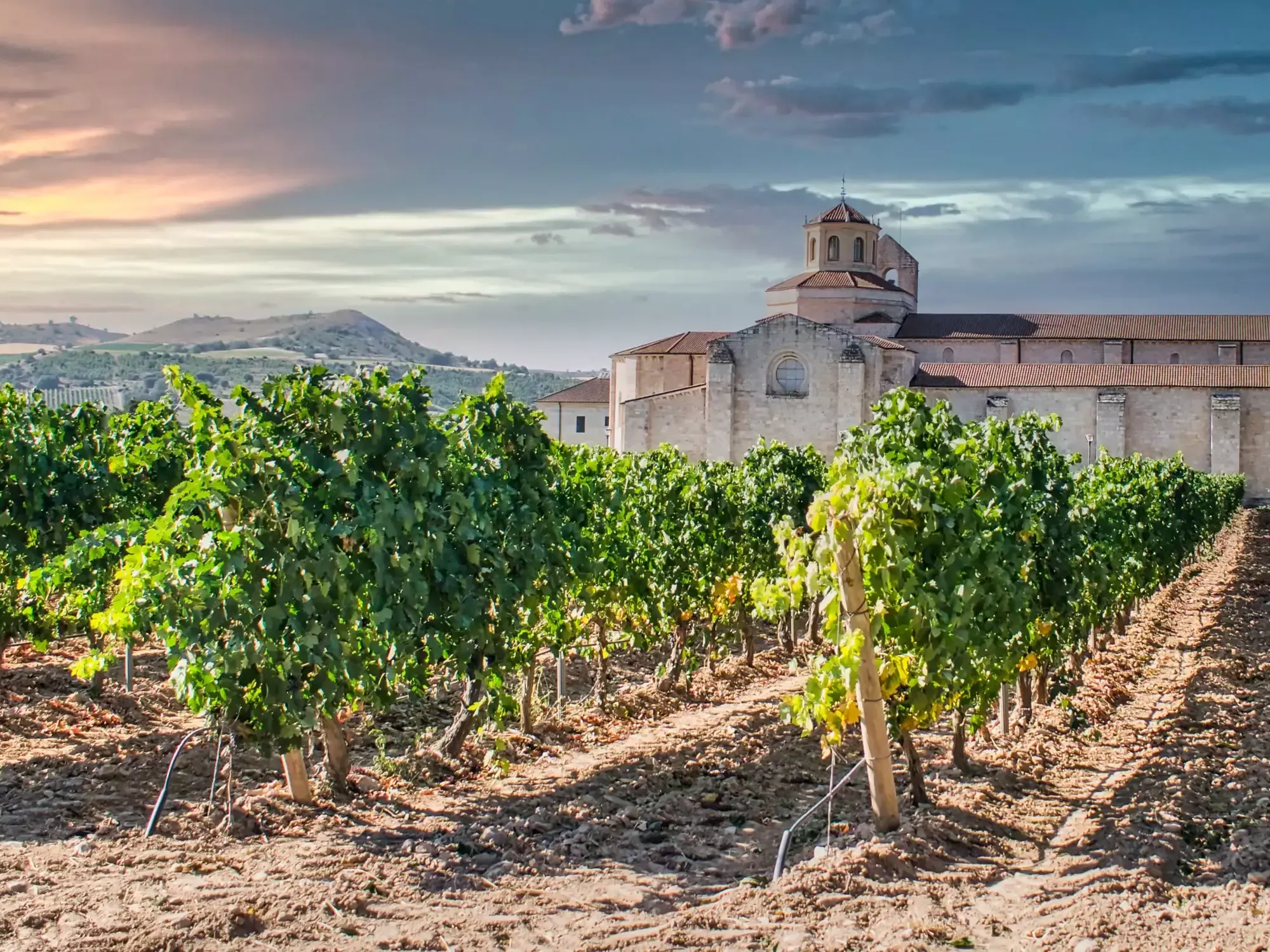 Wine Regions of Portugal & Spain
