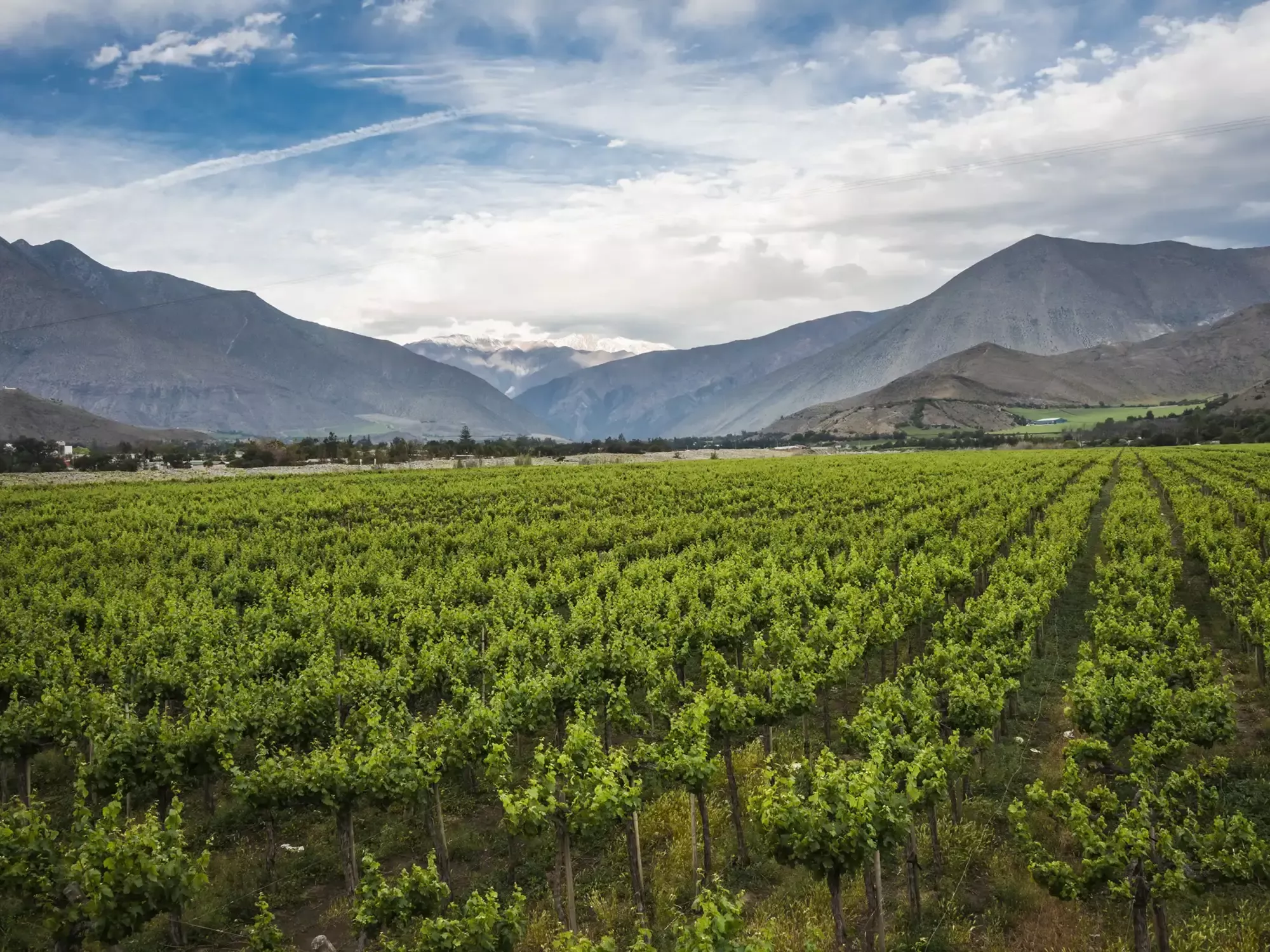 Wine Regions of South America