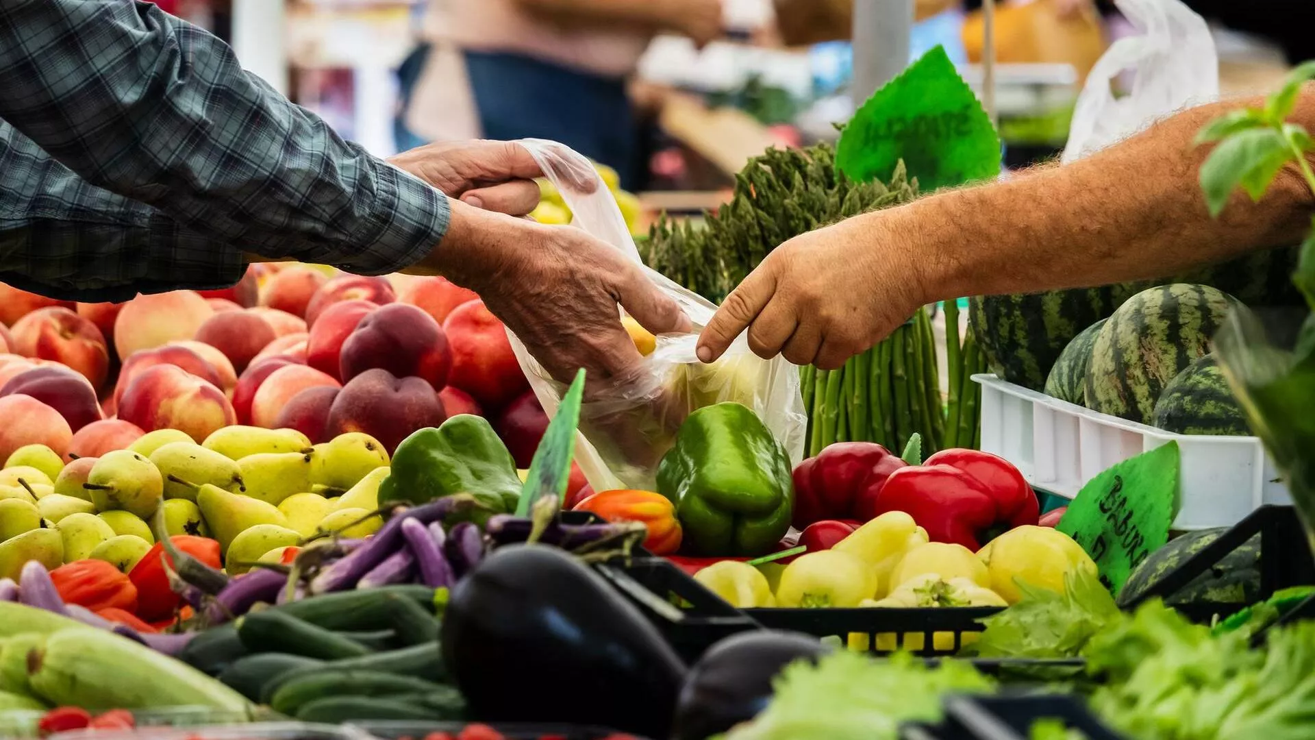 Freshwater Farmers Market