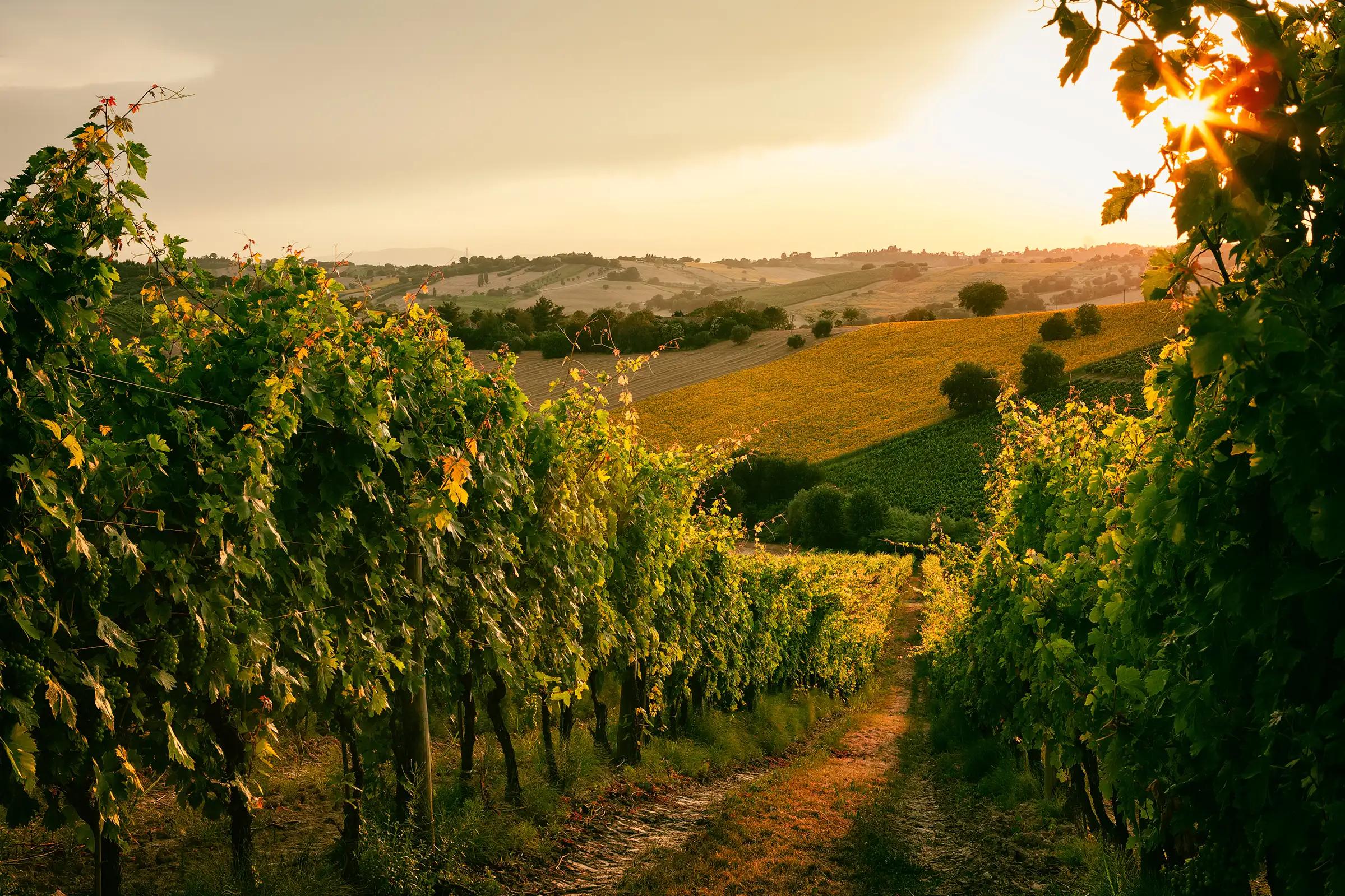 Italy